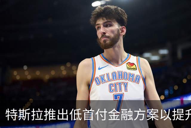 特斯拉推出低首付金融方案以提升市场竞争力